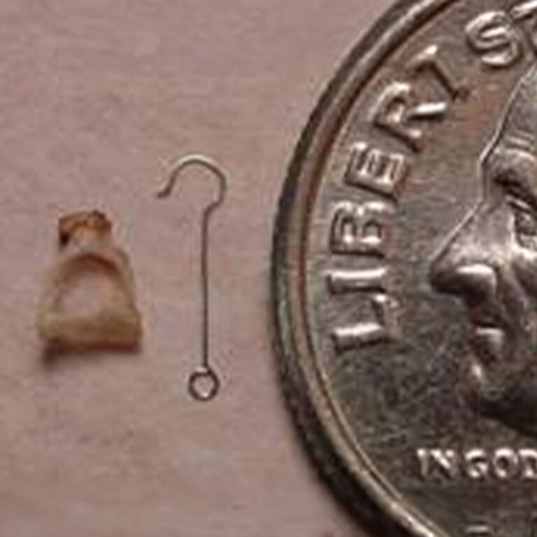 Post Orl Karla Guevara copia