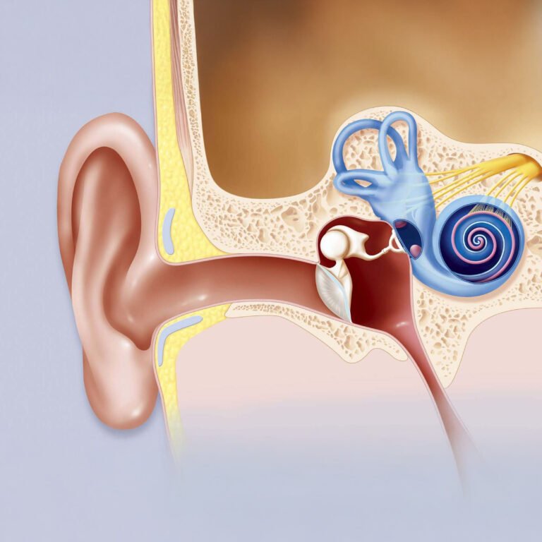 Post Orl Karla Guevara copia