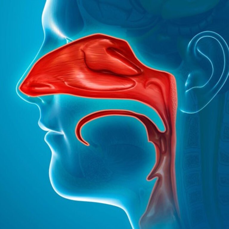 Post Orl Karla Guevara copia