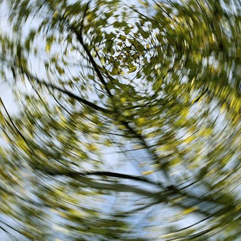 Post Orl Karla Guevara copia