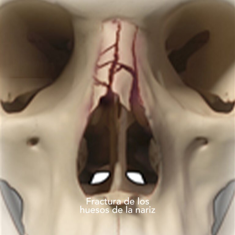 Post Orl Karla Guevara copia