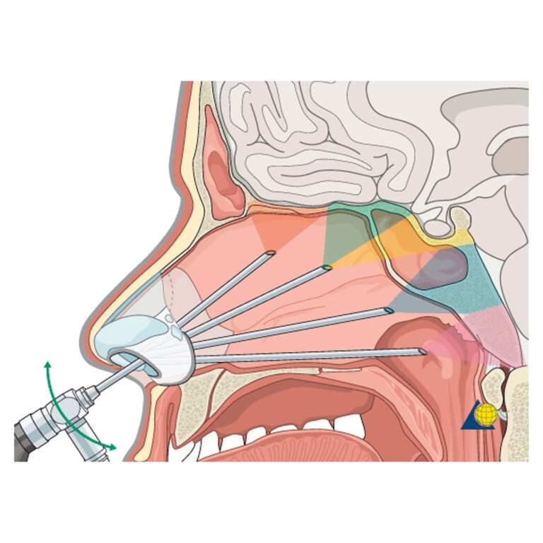 Post Orl Karla Guevara copia