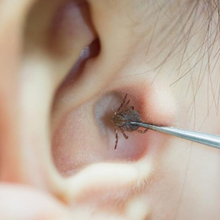 Post Orl Karla Guevara copia