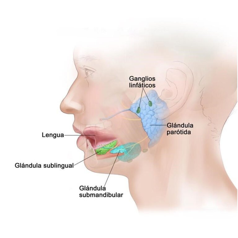 Post Orl Karla Guevara copia